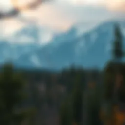 Siberian wilderness landscape