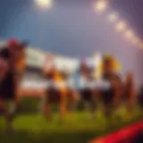 An overview of different horse racing bets