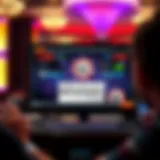 Exploring the WSOP Software Interface Visual representation of WSOP software interface